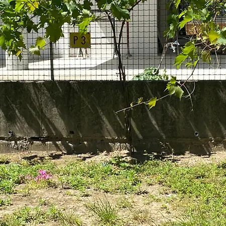 Bilocale A Due Passi Dal Mare 公寓